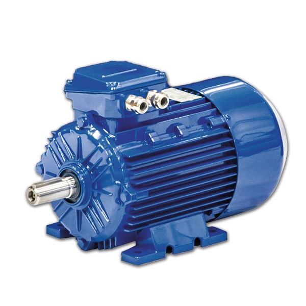 4CB492252 - ELECTRIC MOTOR