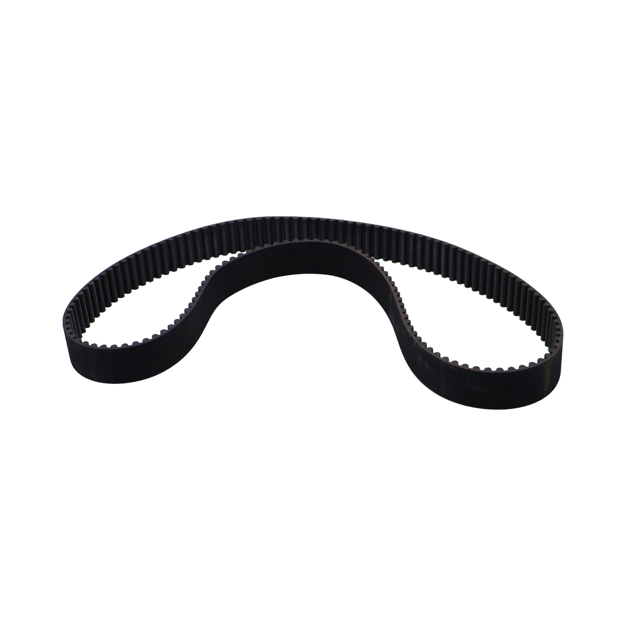 4CB01913 - RIBBED BELT